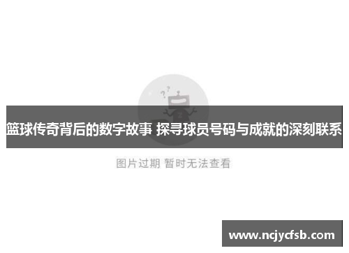 篮球传奇背后的数字故事 探寻球员号码与成就的深刻联系